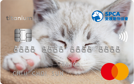 SPCA Mastercard (Kitten)