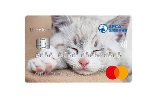 SPCA Mastercard (Kitten)